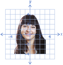 The diagram shows a face with an overlaid coordinate grid.