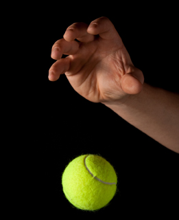 This is a photo of a hand dropping a neon green tennis ball.