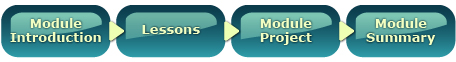 This shows the makeup for each module. The Module Introduction is followed by lessons, which is followed by the Module Project, which is followed by the Module Summary.