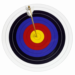 This is a picture of an archery target.