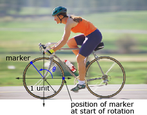 This is a photo of a female cyclist.  There are labels on the front wheel of the bike so that the wheel  resembles a unit circle.