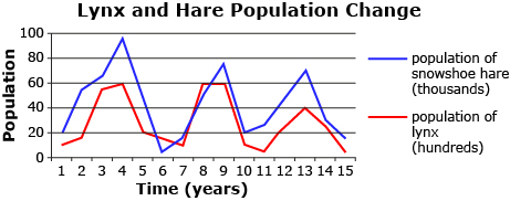 The top diagram shows the snowshoe hare and lynx populations over a period of 15 years.  Both populations fluctuate with a period of about 5 years.  The peak of the lynx population occurs slightly after the peak of the hare population for each cycle.