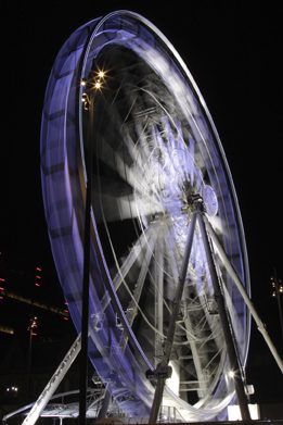 This is a photo of a Ferris wheel at night.