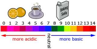 This is a photo of a pH scale. Some food items are shown on the scale.