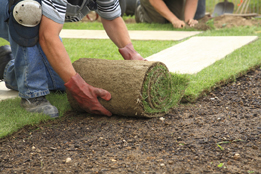 This is a photo of a man laying sod.