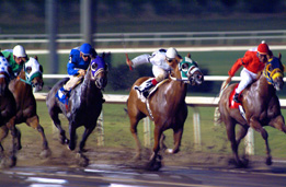 This is a photo of a horse race. 