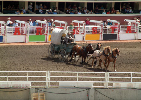 A chuckwagon is shown crossing the finish line at the Calgary Stampede.
