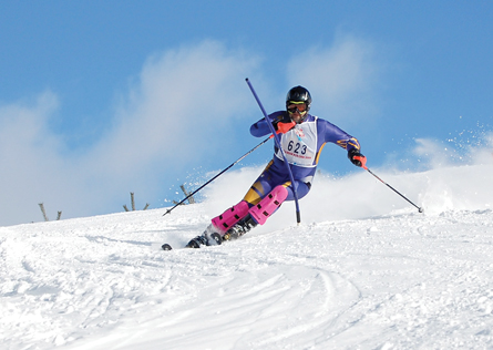A photograph shows a downhill skier in a competition.