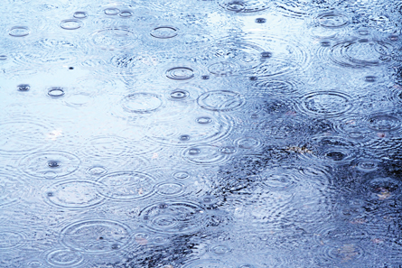 A photograph shows raindrops landing in a puddle.